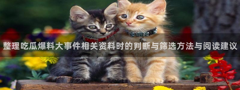 51吃瓜网站入口