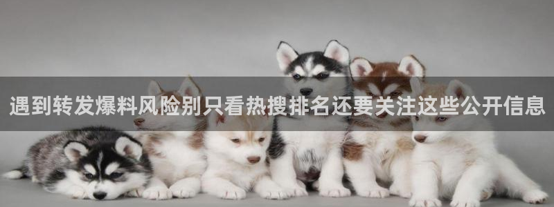 海角吃瓜:遇到转发爆料风险别只看热搜排名还要关注这些公开信息