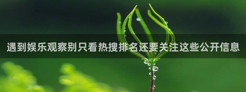 全网吃瓜：遇到娱乐观察别只看热搜排名还要关注这些公开信息