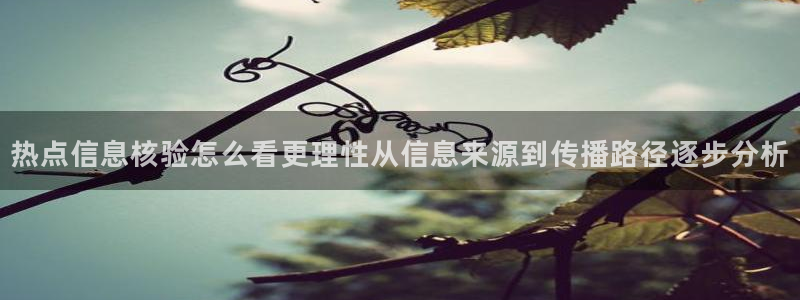 吃瓜黑料大全：热点信息核验怎么看更理性从信息来源到传播路径逐步分析