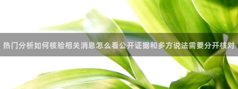 五一吃瓜网：热门分析如何核验相关消息怎么看公开证据和多方说法需要分开核对