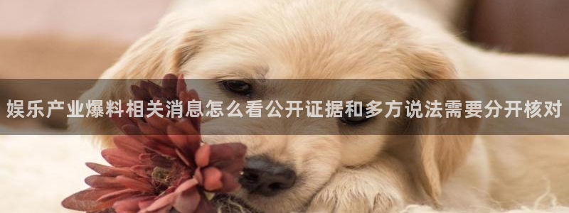 51吃瓜今日大赛：娱乐产业爆料相关消息怎么看公开证据和多方说法需要分开核对