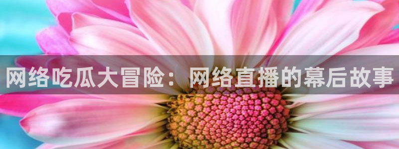 吃瓜网在线